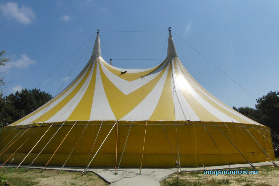 Золотой цирк Юрия Никулина. Анапа, 1 июня 2015